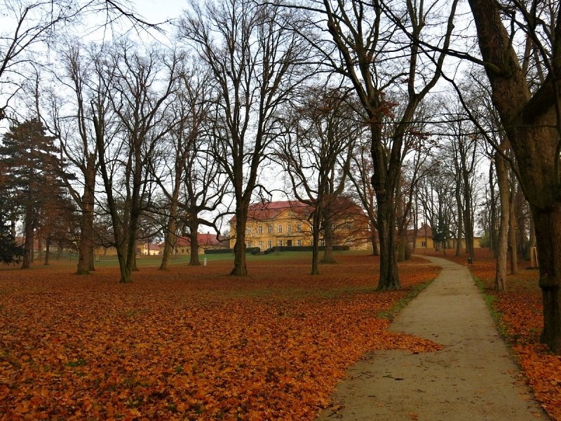 Dukovany - revitalizace zámeckého parku